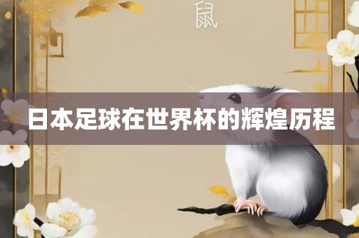 日本广州熙林手袋有限公司足球在世界杯的辉煌历程