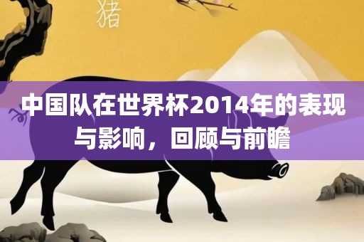 中国队在世界杯2014年的表现与影响,回顾与前瞻