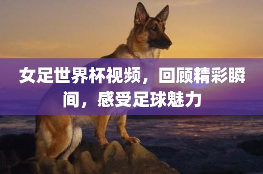 女足世界杯视频,回顾精彩瞬间,感受足球魅力