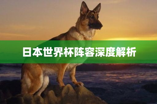 日本世界杯阵容深度解析