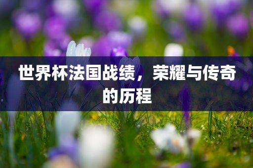 世界杯法国战绩,荣耀与传奇的历程