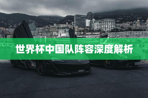 世界杯中国队阵容深度解析