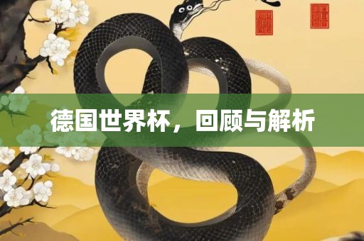 德国世界杯,回顾与解析