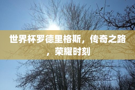 世界杯罗德里格斯,传奇之路,荣耀时刻