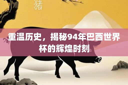 重温历史,揭秘94年巴西世界杯的辉煌时刻