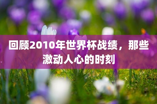 回顾2010年世界杯战绩,那些激动人心的时刻