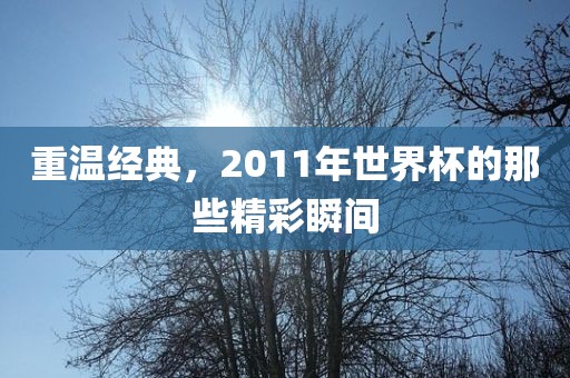 重温经典,2011年世界杯的那些精彩瞬间