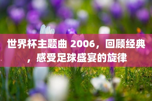 世界杯主题曲 2006,回顾经典,感受足球盛宴的旋律