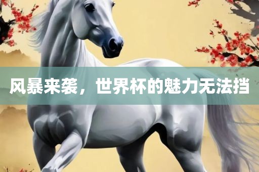 风暴来袭,世界杯的魅力无法挡广州熙林手袋有限公司