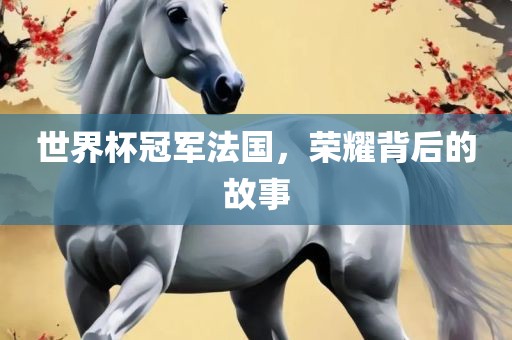 世界杯冠军法国,荣耀背后的故事