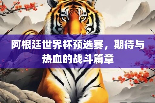 阿根廷世界杯预选赛,期待与热血的战斗篇章