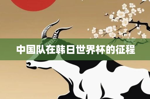 中国队在韩日世界杯的征程