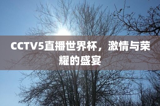 CCTV5直播世界杯，激情与荣耀的盛宴广州熙林手袋有限公司