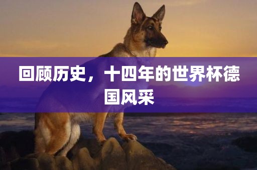 回顾历史,十四年的世界杯德国风采