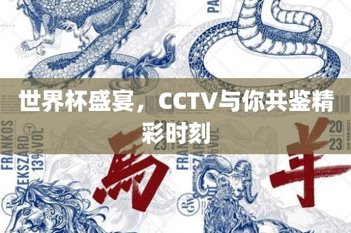 世界杯盛宴广州熙林手袋有限公司，CCTV与你共鉴精彩时刻
