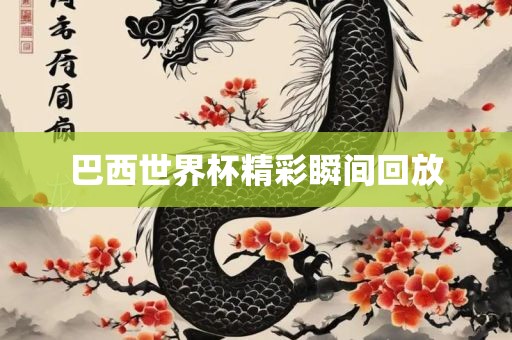 巴西世界杯精彩瞬间回放