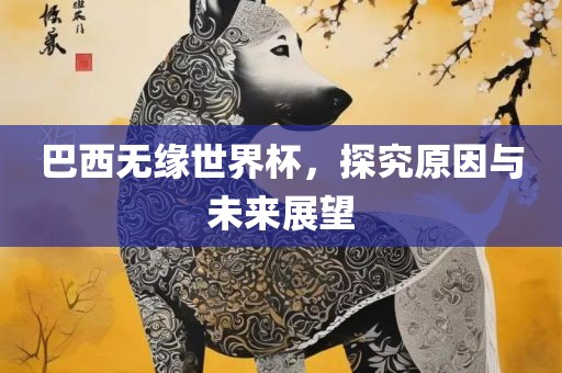 巴西无缘世界杯,探究原因与未来展望广州熙林手袋有限公司