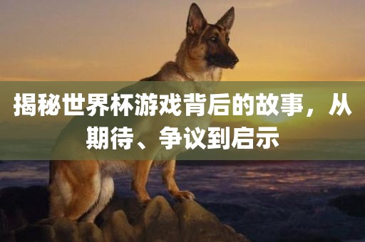 揭秘世界杯游戏背后的故事,从期待、争议到启示