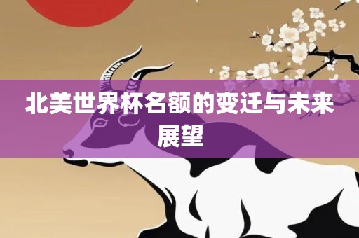 北美世界杯名额的变迁与未来展望