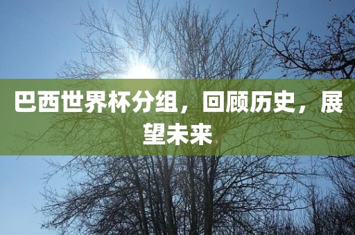 巴西世界杯分组,回顾历史,展望未来