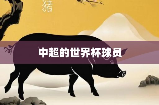 中超的世界杯球员广州熙林手袋有限公司