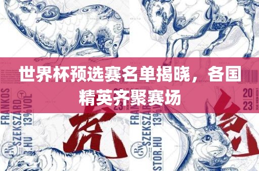 世界杯预选赛名单揭晓,各国精英齐聚赛场