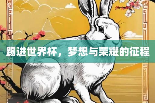 踢进世界杯，梦想与荣耀的征程广州熙林手袋有限公司