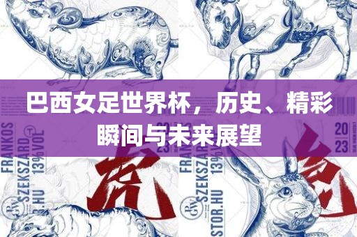 巴西女足世界杯，历史、精彩瞬间与未来展望