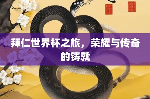 拜仁世界杯之旅,荣耀与传奇的铸就