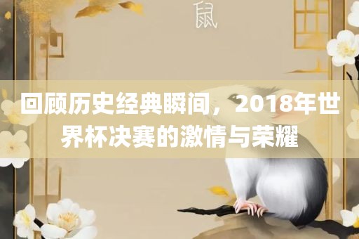 回顾历史经典瞬间，2018年世界杯决赛的激情与荣耀