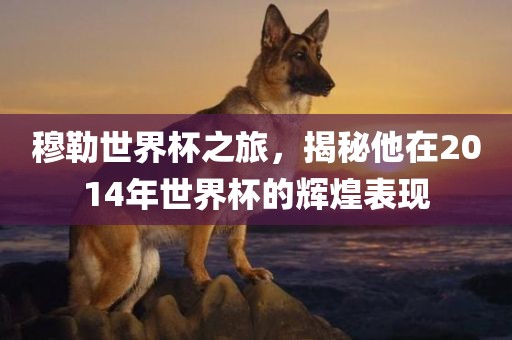 穆勒世界杯之旅,揭秘他在2014年世界杯的辉煌表现