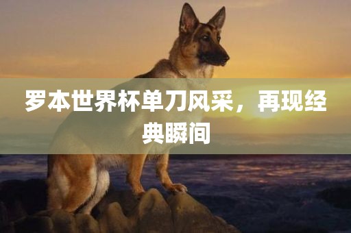 罗本世界杯单刀风采,再现经典瞬间