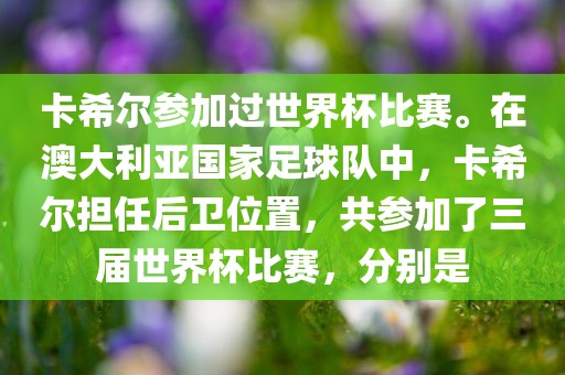 卡希尔参加过世界杯比赛。在澳大利亚国家足球队中，卡希尔担任后卫位置，共参加了三届世界杯比赛，分别是