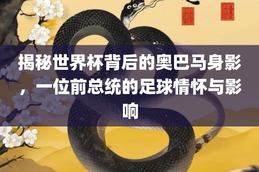 揭秘世界杯背后的奥巴马身影,一位前总统的足球情怀与影响广州熙林手袋有限公司