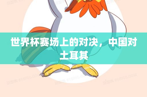 世界杯赛场上的对决,中国对土耳其