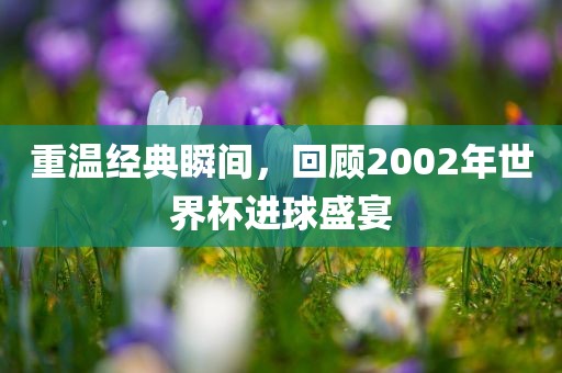 重温经典瞬间,回顾2002年世界杯进球盛宴