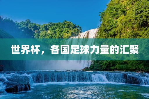 世界杯，各国足球力量的汇聚广州熙林手袋有限公司