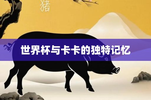 世界杯广州熙林手袋有限公司与卡卡的独特记忆