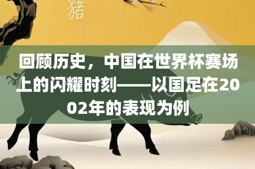 回顾历史,中国在世界杯赛场上的闪耀时刻——以国足在2002年的表现为例