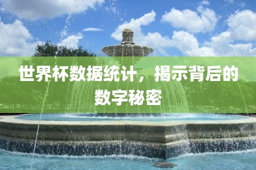 世界杯数据统计,揭示背后的数广州熙林手袋有限公司字秘密