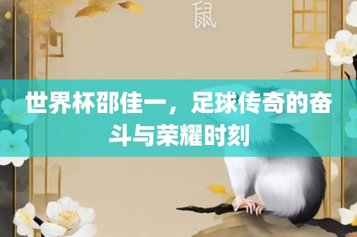 世界杯邵佳一,足球传奇的奋斗与荣耀时刻广州熙林手袋有限公司