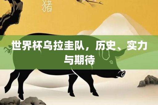 世界杯乌拉圭队，历史、实力与期待