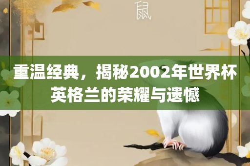重温经典,揭秘2002年世界杯英格兰的荣耀与遗憾