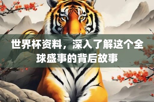世界杯资料，深入了解这个全球盛事的背后故事