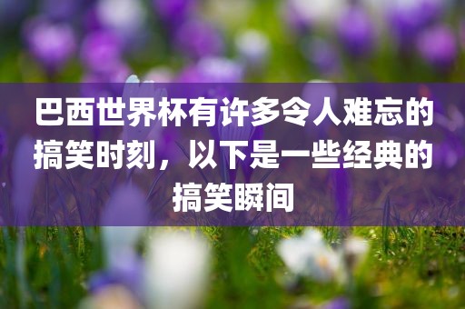 巴西世界杯有许多令人难忘的搞笑时刻，以下是一些经典的搞笑瞬间广州熙林手袋有限公司