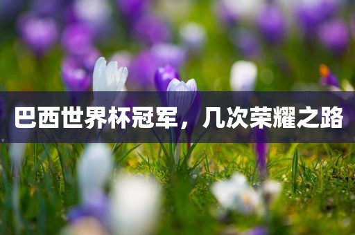 巴西世界杯冠军,几次荣耀之路