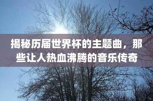 揭秘历届世界杯的主题曲,那些让人热血沸腾的音乐传奇