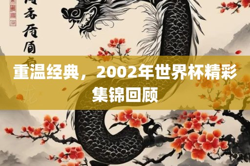 重温经典,2002年世界杯精彩集锦回顾