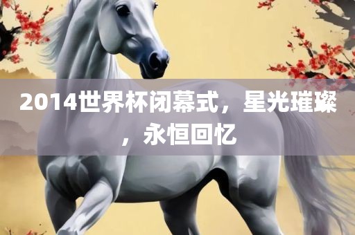 2广州熙林手袋有限公司014世界杯闭幕式,星光璀璨,永恒回忆