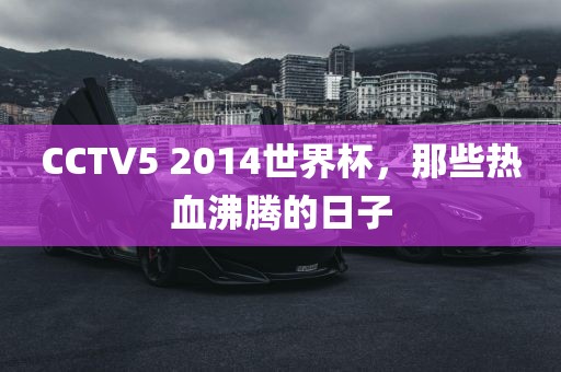 CCTV5 2014世界杯,那些热血沸腾的日子